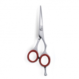 Professional Hair Scissor